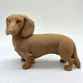 Mô hình chú chó Dachshund lông dài (tư thế đứng) - Thumbnail 2