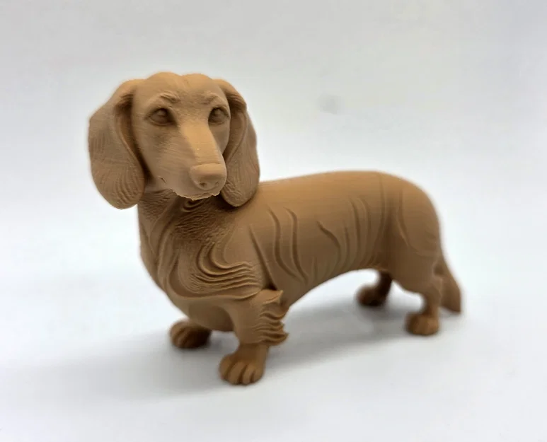 Mô hình chú chó Dachshund lông dài (tư thế đứng) - Image 3