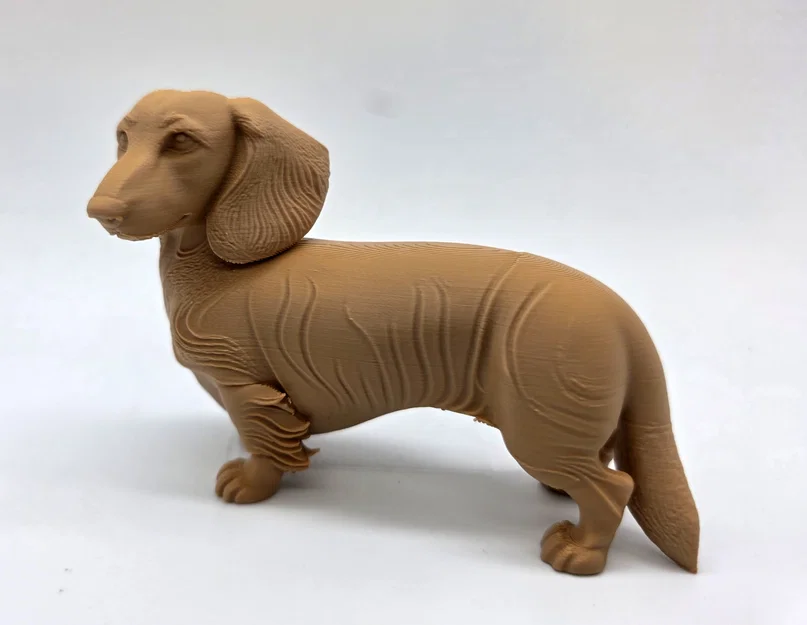 Mô hình chú chó Dachshund lông dài (tư thế đứng) - Image 4