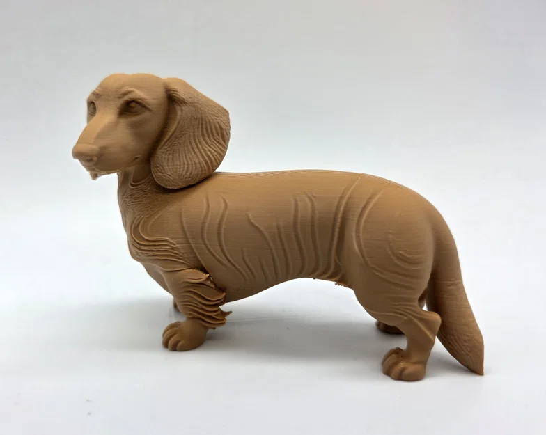 Mô hình chú chó Dachshund lông dài (tư thế đứng) - Image 5