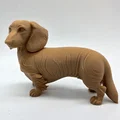 Mô hình chú chó Dachshund lông dài (tư thế đứng) - Thumbnail 5