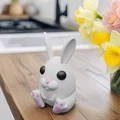 Trứng Thỏ Phục Sinh Dễ Thương (Nắp Vặn & Thiết kế In Đa Vật Liệu) - Thumbnail 2