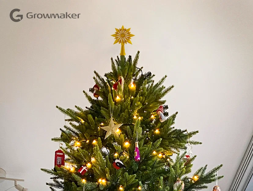 Ngôi Sao Đỉnh Cây Thông Noel - Christmas Tree Star Topper - Image 2