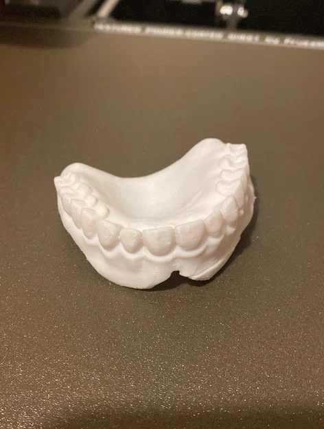 Mô hình hàm răng giả trên và dưới dùng làm đạo cụ - Image 3