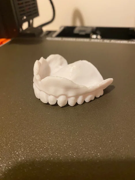 Mô hình hàm răng giả trên và dưới dùng làm đạo cụ - Image 4