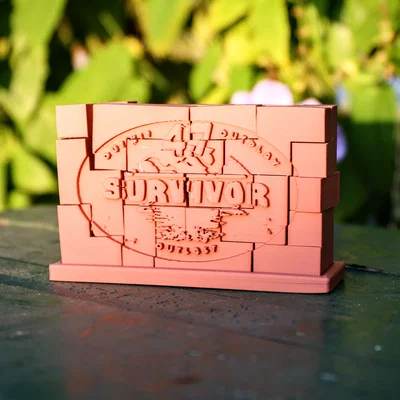 Mô hình xếp hình Survivor 47 - Logo Block Puzzle in 3D
