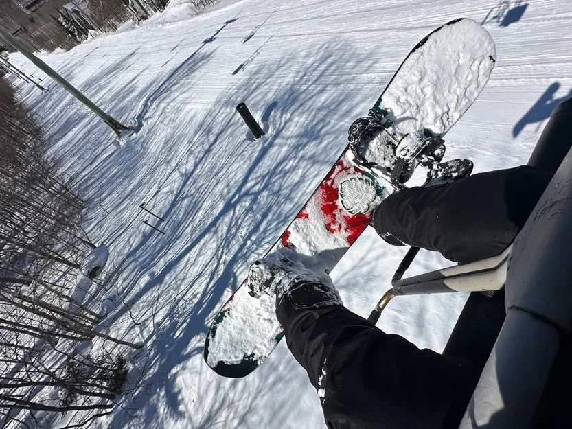 Miếng dán chống trượt ván trượt tuyết hình lá Monstera - Image 2