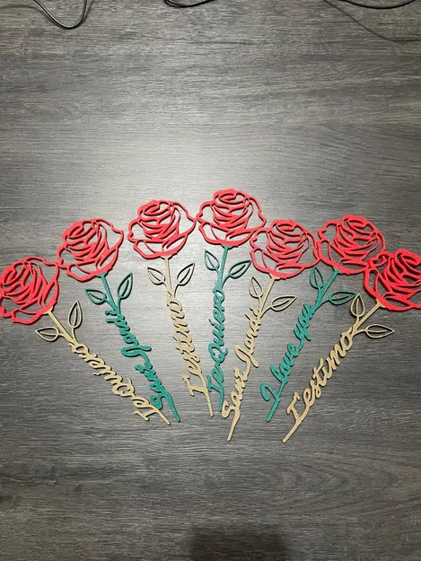 Hoa Hồng Valentine, Hoa Hồng Sant Jordi - Image 2