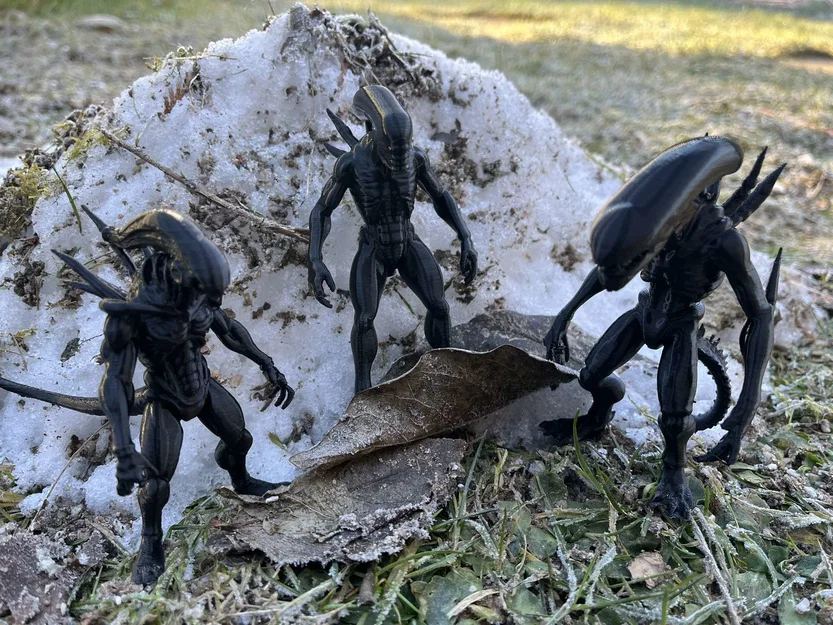 Mô hình Xenomorph, Alien, Intruder - Image 1