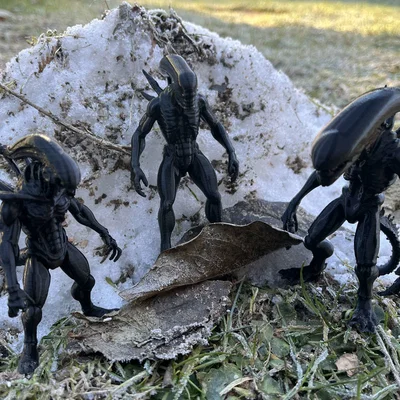 Mô hình Xenomorph, Alien, Intruder