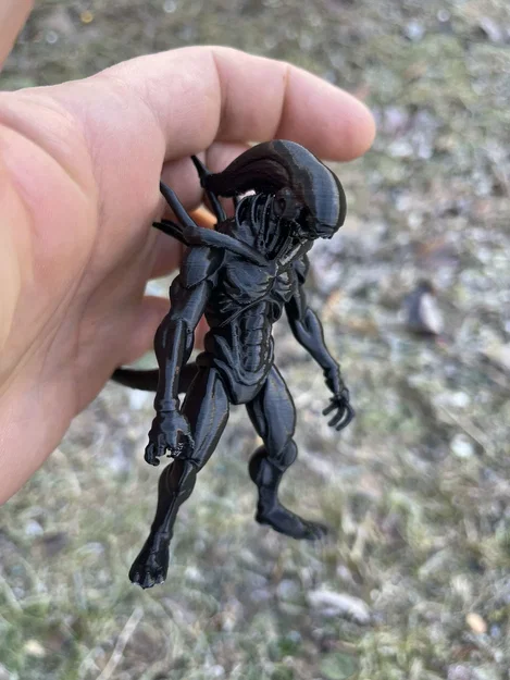 Mô hình Xenomorph, Alien, Intruder - Image 2