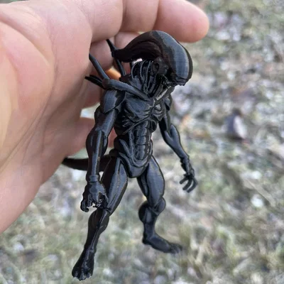 Mô hình Xenomorph, Alien, Intruder