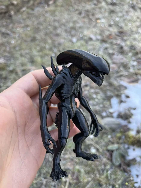 Mô hình Xenomorph, Alien, Intruder - Image 3