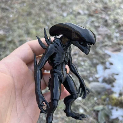 Mô hình Xenomorph, Alien, Intruder