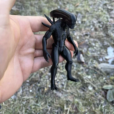 Mô hình Xenomorph, Alien, Intruder