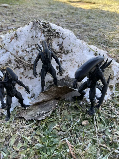 Mô hình Xenomorph, Alien, Intruder - Image 5