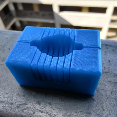 Khuôn cắt não chuột (Coronal, 40-75g)