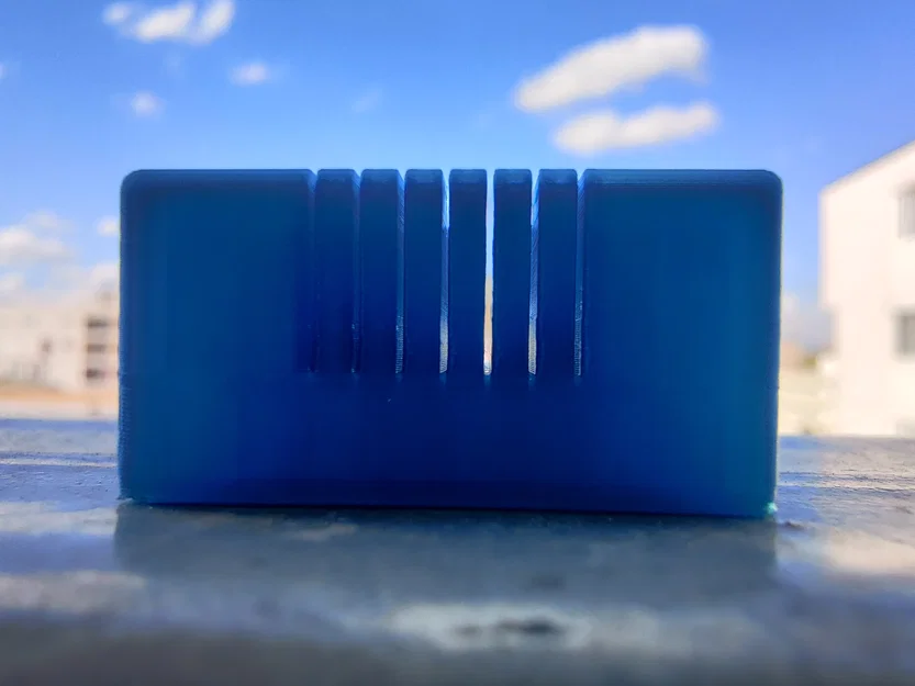 Khuôn cắt não chuột (Coronal, 40-75g) - Image 3