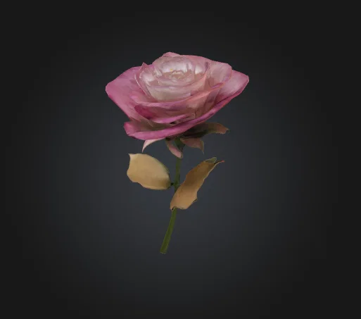 Mô hình hoa hồng 3D trang trí tinh tế làm quà tặng - Image 1