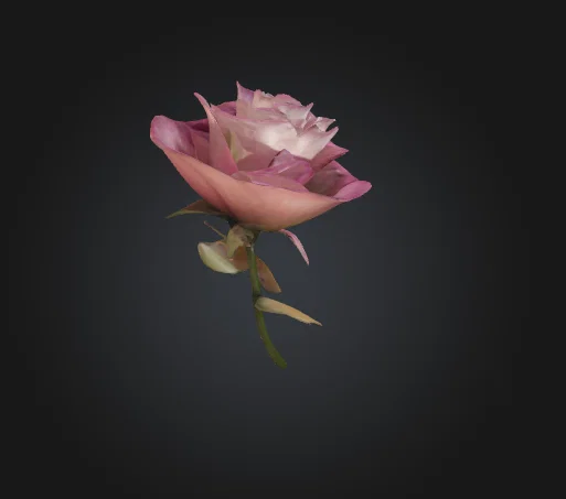 Mô hình hoa hồng 3D trang trí tinh tế làm quà tặng - Image 2