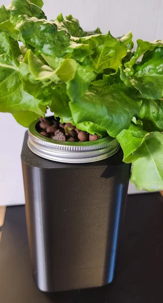 Vỏ bọc chống sáng Kratky Hydroponics cho hũ Mason 32oz - Image 1