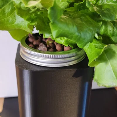 Vỏ bọc chống sáng Kratky Hydroponics cho hũ Mason 32oz