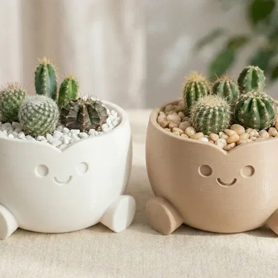 Mẫu in 3D chậu cây mini hình nhím và mặt cười trang trí bàn làm việc