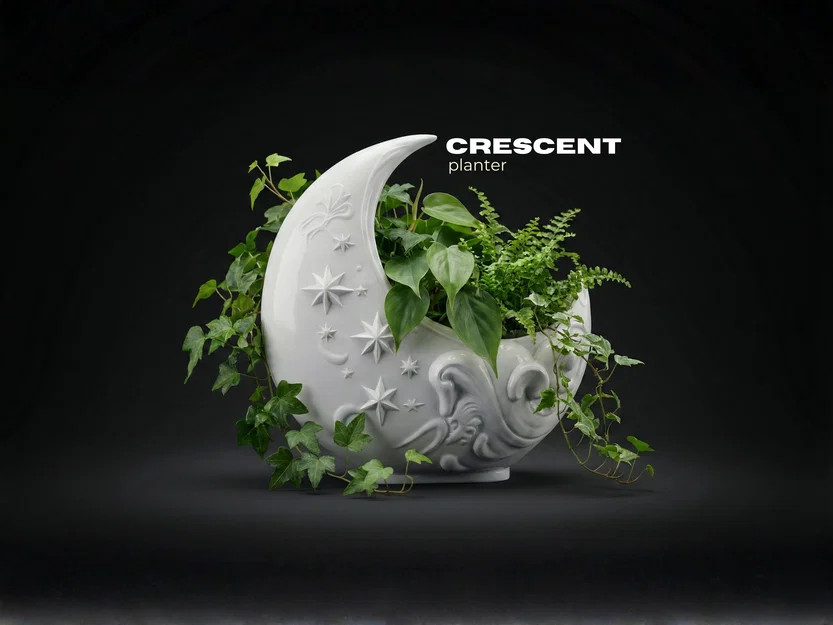 Chậu cây Mặt Trăng Khuyết (Crescent Moon Planter) - Image 1