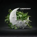 Chậu cây Mặt Trăng Khuyết (Crescent Moon Planter) - Thumbnail 1