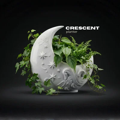 Chậu cây Mặt Trăng Khuyết (Crescent Moon Planter)