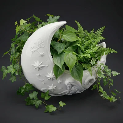 Chậu cây Mặt Trăng Khuyết (Crescent Moon Planter)