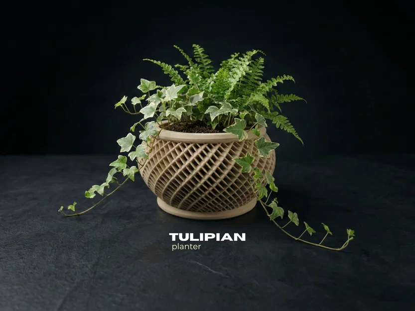 Chậu cây & Hũ đựng TULIPIAN - Image 1