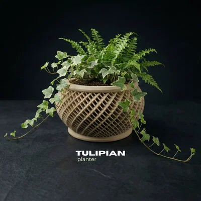 Chậu cây & Hũ đựng TULIPIAN