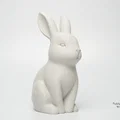 Cute Bunny - Chú thỏ Phục sinh tối giản - Thumbnail 5