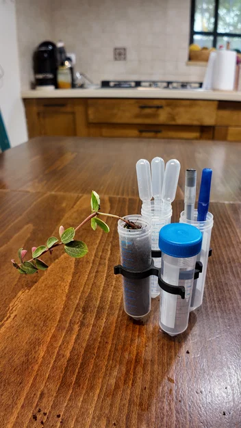 Giá đỡ 4 ống Falcon 50ml kiểu Snap-fit - Image 2