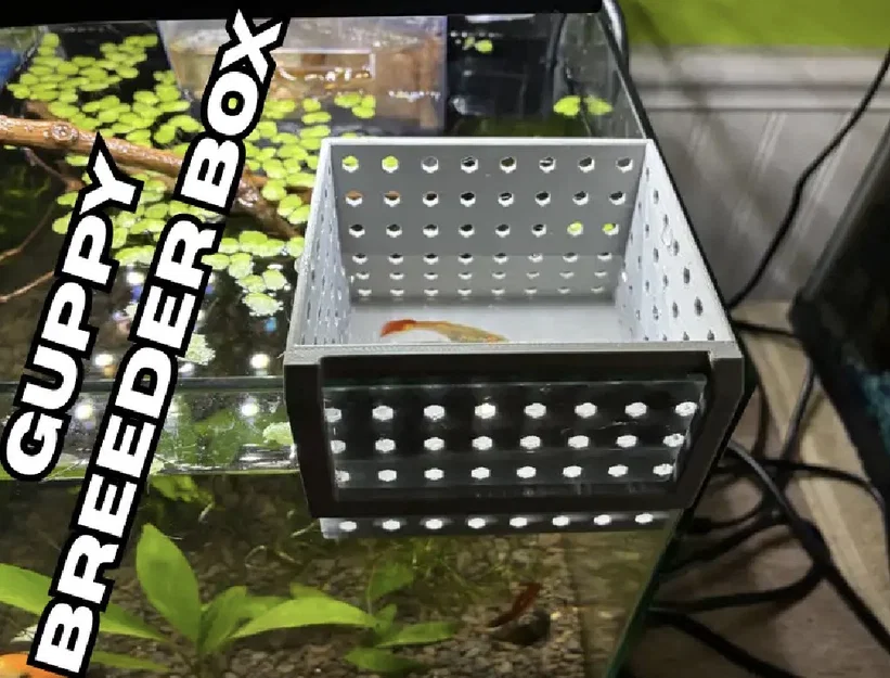 Hộp đẻ cách ly cho cá Guppy - Phụ kiện in 3D hữu ích cho hồ cá - Image 1