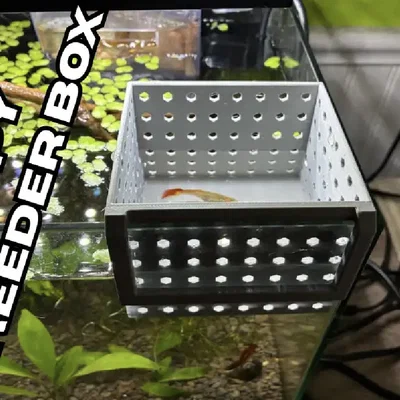 Hộp đẻ cách ly cho cá Guppy - Phụ kiện in 3D hữu ích cho hồ cá