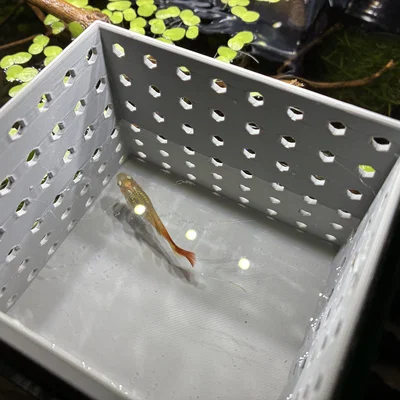 Hộp đẻ cách ly cho cá Guppy - Phụ kiện in 3D hữu ích cho hồ cá