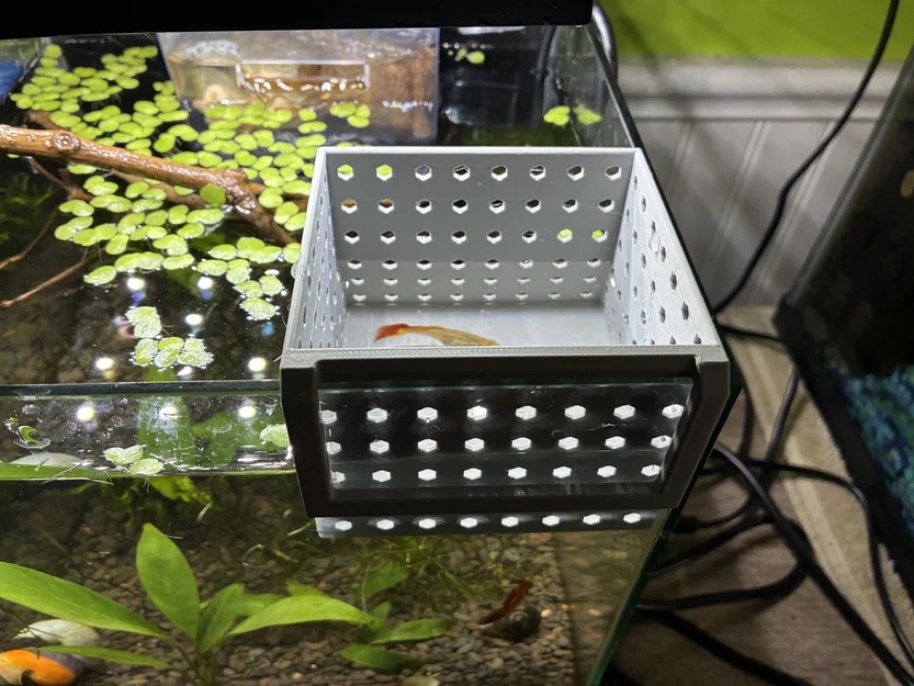 Hộp đẻ cách ly cho cá Guppy - Phụ kiện in 3D hữu ích cho hồ cá - Image 4