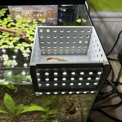 Hộp đẻ cách ly cho cá Guppy - Phụ kiện in 3D hữu ích cho hồ cá