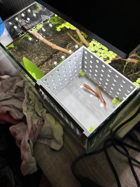 Hộp đẻ cách ly cho cá Guppy - Phụ kiện in 3D hữu ích cho hồ cá - Image 7