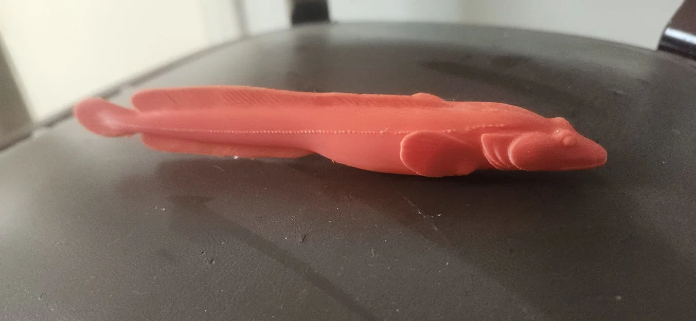 Mô hình cá Eelpout (họ Zoarcidae) - Image 3