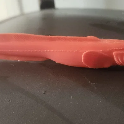 Mô hình cá Eelpout (họ Zoarcidae)