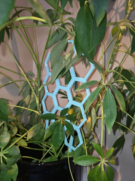 Khung Lưới Leo Cây Tổ Ong Hiện Đại (Không Cần Support / In Nhanh) - Image 1