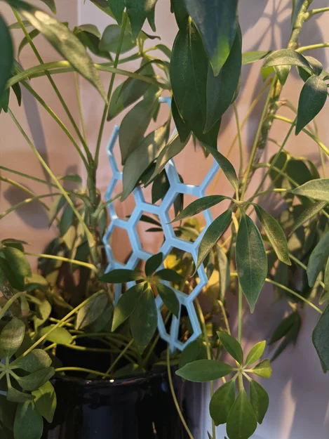 Khung Lưới Leo Cây Tổ Ong Hiện Đại (Không Cần Support / In Nhanh) - Image 2