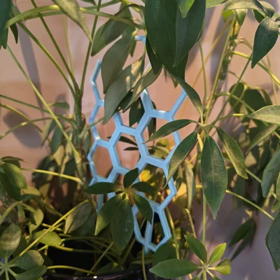 Khung Lưới Leo Cây Tổ Ong Hiện Đại (Không Cần Support / In Nhanh)