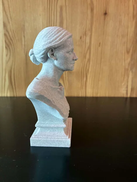 Tượng bán thân Cecilia Helena Payne-Gaposchkin - Image 3