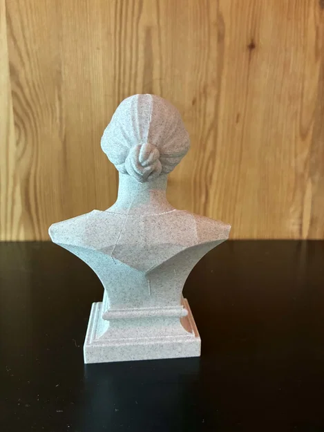 Tượng bán thân Cecilia Helena Payne-Gaposchkin - Image 4