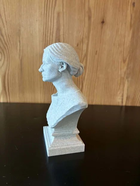 Tượng bán thân Cecilia Helena Payne-Gaposchkin - Image 5