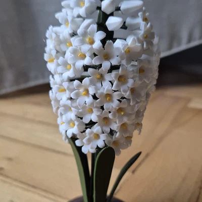 Mô hình 3D hoa dạ lan hương (Hyacinth)